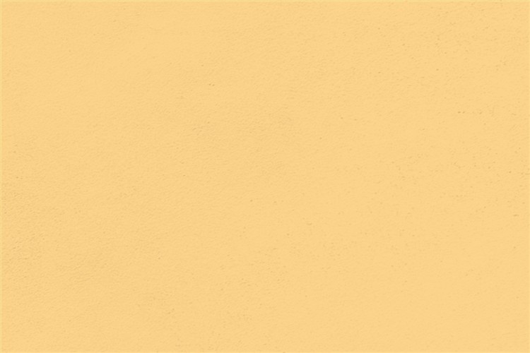 D-WHYE0005